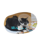 みーくおスタプンプン（個別スタンプ：23）