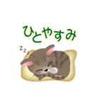 ネコの"hakka"の可愛い日常スタンプ_No.2（個別スタンプ：7）