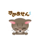 ネコの"hakka"の可愛い日常スタンプ_No.2（個別スタンプ：24）