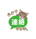 ネコの"hakka"の可愛い日常スタンプ_No.2（個別スタンプ：31）