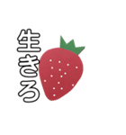 strawberry いちごで15なお祝い（個別スタンプ：1）