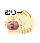 つむりんのひとこと②（個別スタンプ：6）