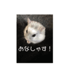 我が家の仲間達（個別スタンプ：4）