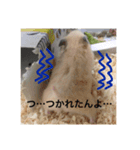 我が家の仲間達（個別スタンプ：5）