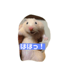 我が家の仲間達（個別スタンプ：6）