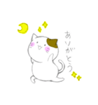 ゆるっとヨガにゃんこ（個別スタンプ：14）