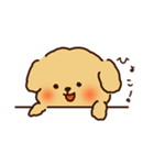 トイプードルのまめ（個別スタンプ：3）