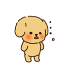 トイプードルのまめ（個別スタンプ：9）
