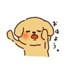 トイプードルのまめ（個別スタンプ：12）