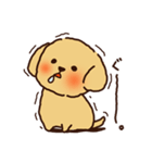 トイプードルのまめ（個別スタンプ：15）