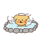トイプードルのまめ（個別スタンプ：16）