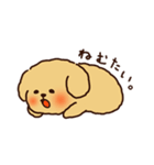 トイプードルのまめ（個別スタンプ：17）
