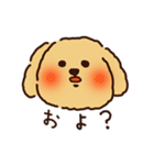 トイプードルのまめ（個別スタンプ：20）