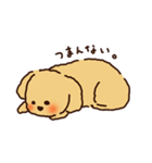 トイプードルのまめ（個別スタンプ：26）