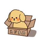 トイプードルのまめ（個別スタンプ：29）