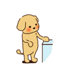 トイプードルのまめ（個別スタンプ：31）