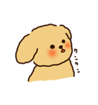 トイプードルのまめ（個別スタンプ：32）