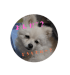 みるきからの返事（個別スタンプ：7）