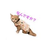 まるぅぅ3（個別スタンプ：3）