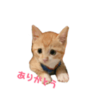 まるぅぅ3（個別スタンプ：4）