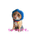 まるぅぅ3（個別スタンプ：7）