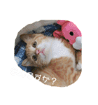 まるぅぅ3（個別スタンプ：12）