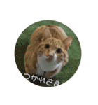 まるぅぅ3（個別スタンプ：13）