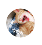 まるぅぅ3（個別スタンプ：17）