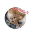 まるぅぅ3（個別スタンプ：18）