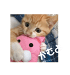 まるぅぅ3（個別スタンプ：20）