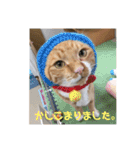 まるぅぅ3（個別スタンプ：21）