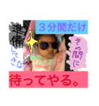 大瀧一家（個別スタンプ：23）