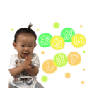 てんてんすたんぷ わん（個別スタンプ：13）