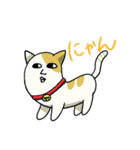 イトカワくんスタンプ（個別スタンプ：39）