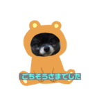 黒ポメ  のあ（個別スタンプ：9）