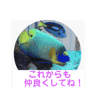 天使のうさぎのご挨拶4（個別スタンプ：1）