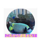 天使のうさぎのご挨拶4（個別スタンプ：2）