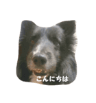 ロルとリッカ（個別スタンプ：2）