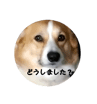 ロルとリッカ（個別スタンプ：8）