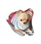 愛犬犬（個別スタンプ：3）