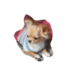 愛犬犬（個別スタンプ：8）