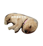 バニバニクーたん（個別スタンプ：3）