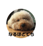 バニバニクーたん（個別スタンプ：5）