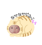 ねねたん721（個別スタンプ：16）