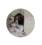ロノアのぼるんfamily（個別スタンプ：1）