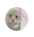 ロノアのぼるんfamily（個別スタンプ：4）