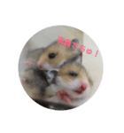 ロノアのぼるんfamily（個別スタンプ：5）