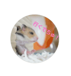 ロノアのぼるんfamily（個別スタンプ：6）