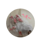 ロノアのぼるんfamily（個別スタンプ：8）