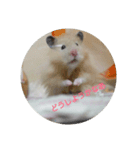 ロノアのぼるんfamily（個別スタンプ：19）